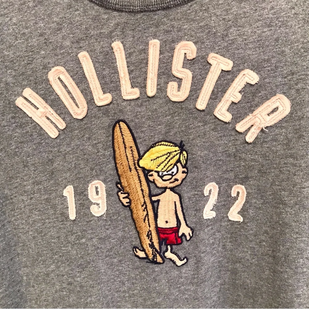 Vintage Y2K Hollister Embroidered Surfer Man Tee Gray